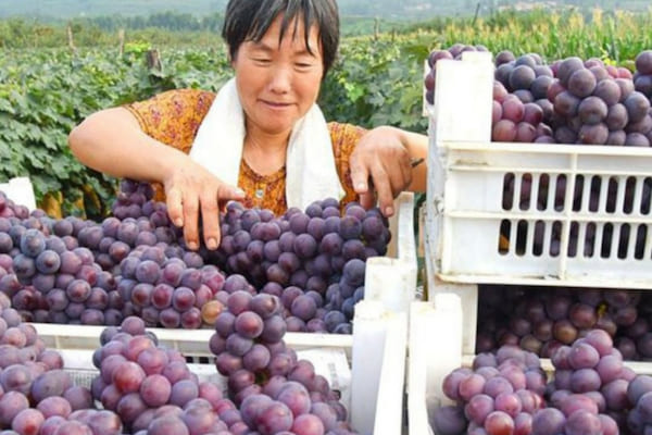 Rural China