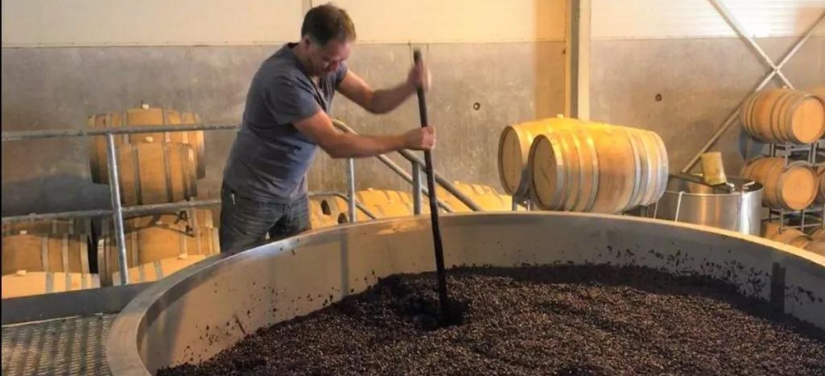 Photo for: Know your Winemakers: Paul Dawick, Chief Winemaker in Mills Reef Winery, New Zealand