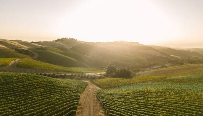 Paso Robles, California