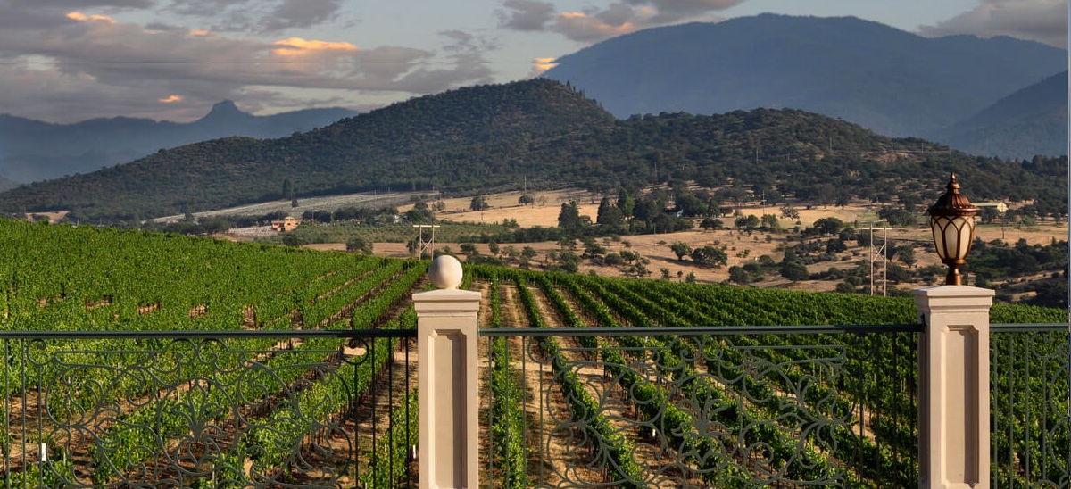 Photo for: Ashland’s Premier Wine Destination - Belle Fiore Wines