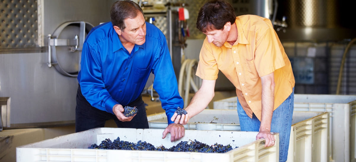 Photo for: Crafting Delicious Sonoma County Wines - Rodney Strong Wine Estates