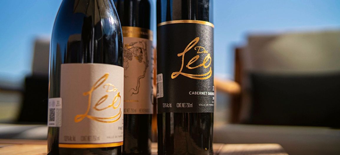 Photo for: How Viñedos Don Leo Is Shaping a Modern Expression of Mexican Wine