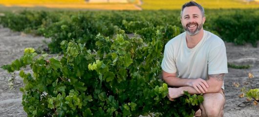 Photo for: Looking Beyond the ‘Value for Money’ Appeal of South African Wines