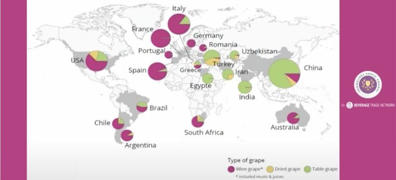 Photo for: Interesting Insights Into The Global Wine Market With Todd Azevedo