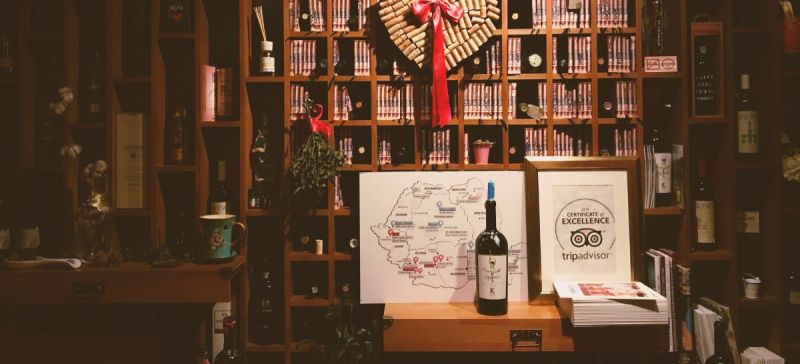 Photo for: Top 12 Wine Books Written By Sommeliers For Wine Lovers
