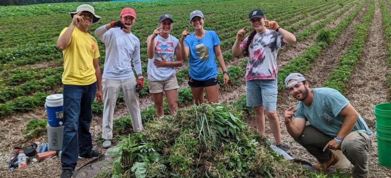 Photo for: What is the hardest part of a winemakers job?