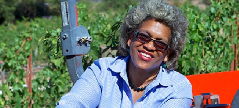 Photo for: From Law to Vines: The Inspiring Journey of Theodora Lee, Founder of Theopolis Vineyards