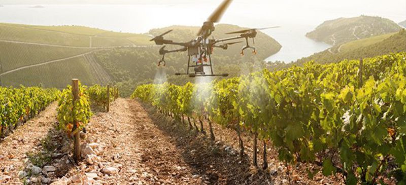 Photo for: How Artificial Intelligence is Shaping the Future of Wine Production