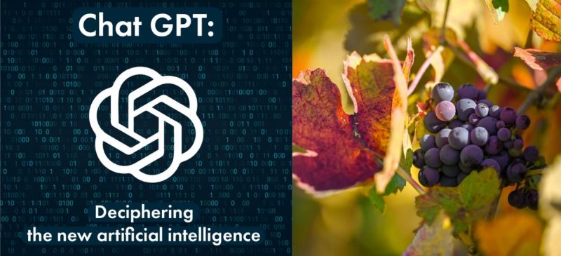 Photo for: Machine Intelligence and the Future of the Wine Industry