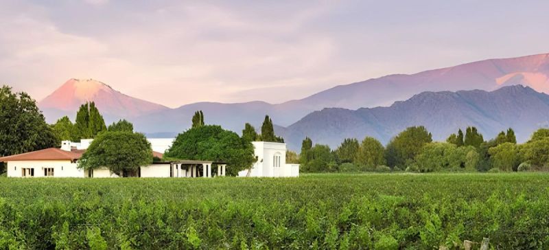 Photo for: An Interview with Magdalena Pesce, CEO of Wines of Argentina