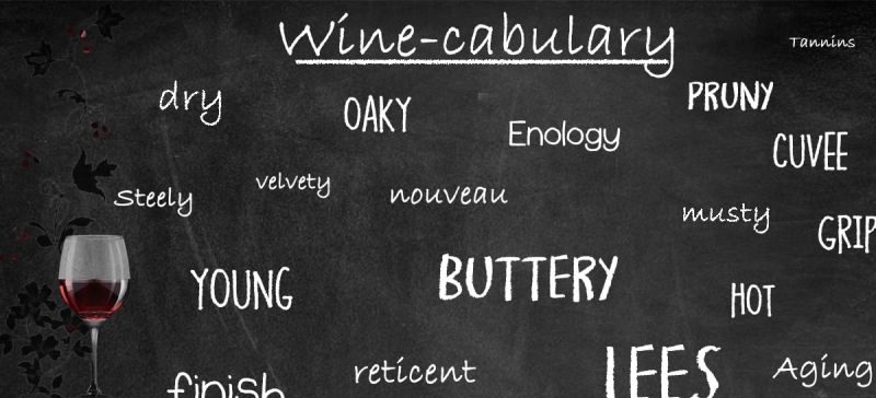 Photo for: Glossary of Wine Tasting Terms And Their Meaning