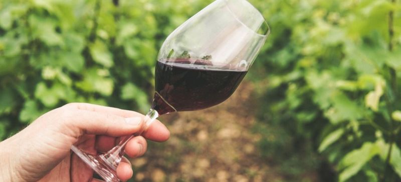 Photo for: COVID 19: What Wineries and Distilleries Can Do In Next 60 Days