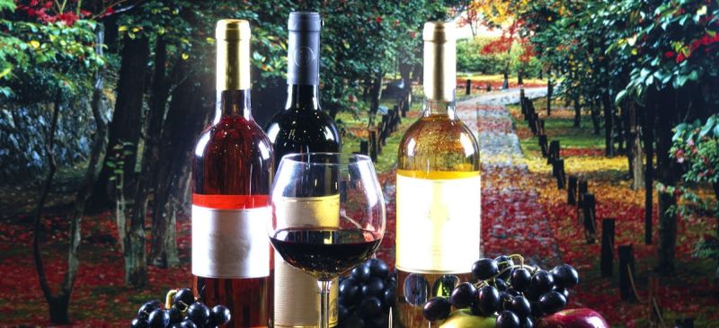 Photo for: Shades Of A Wine 