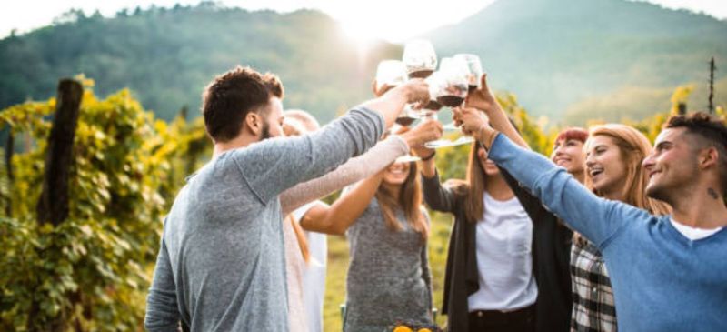 Photo for: Wine Tourism : The best experience of California 