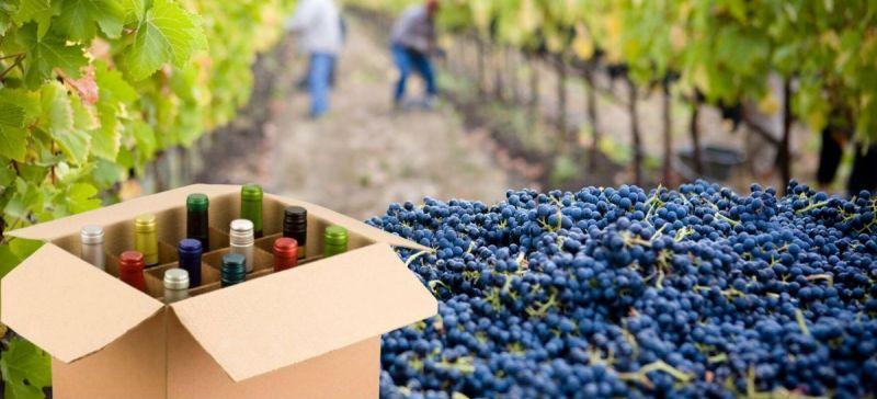 Photo for: Washington Wineries Accepting Delivery Requests