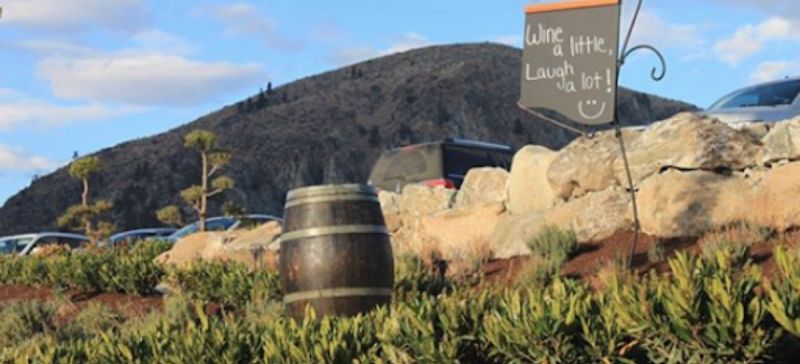 Photo for: How Wineries Are Thinking Out Of The Box During Covid 19 To Survive