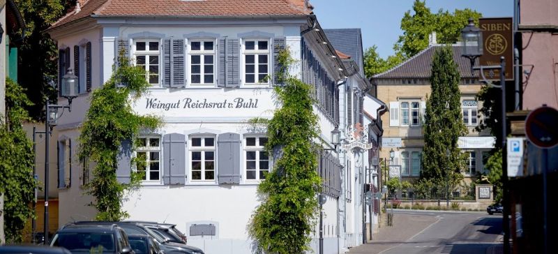 Photo for: Meet White Wine of the Year, Armand Riesling Kabinett