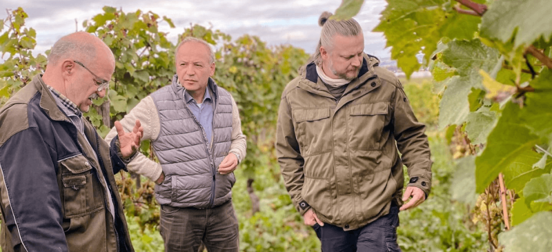 Photo for: How Schloss Vollrads Kabinett Riesling Won Riesling of the Year at the 2026 Sommeliers Choice Awards