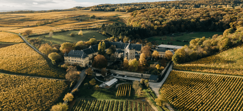 Photo for: The Case for Kabinett: Schloss Vollrads Wins Riesling of the Year at 2026 Sommeliers Choice Awards