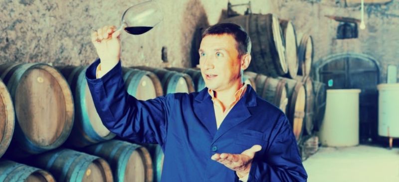 Photo for: Challenges and Opportunities for Wine Producers in California: A Long-Term Outlook