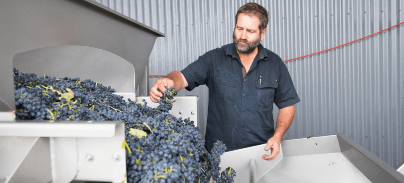 Photo for: Hare’s Chase Named Red Wine Producer of the Year at 2025 Sommeliers Choice Awards