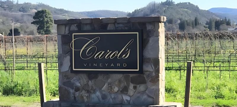 Photo for: How J. Lohr's Family-Run Winery Model Leads in Sustainability and Quality - Part Two