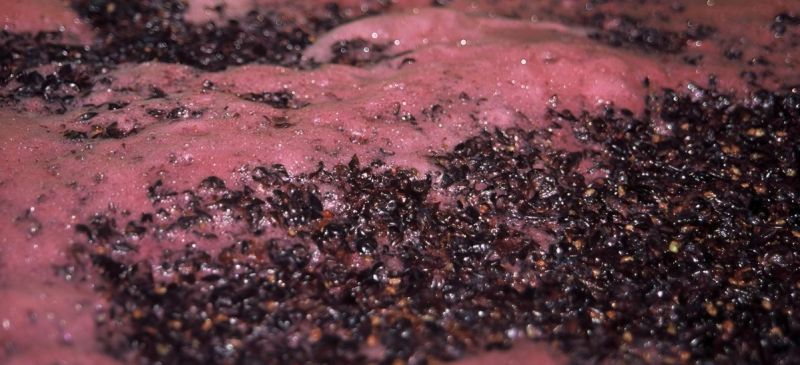 Photo for: Yeast Lees in Wine Maturation: What Sommeliers Need to Know