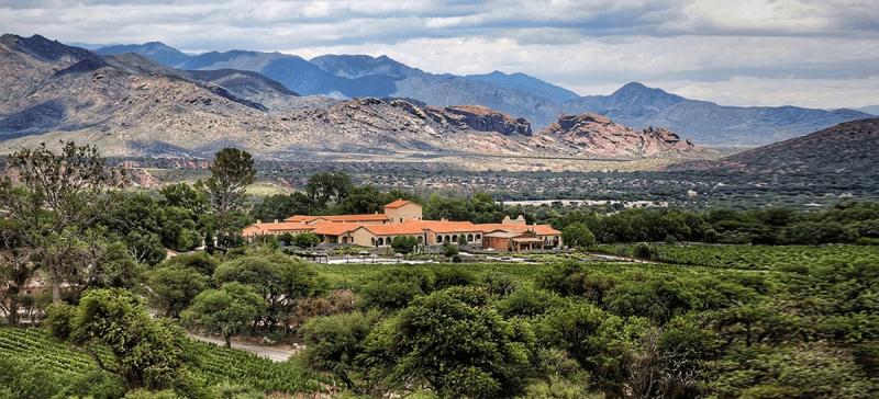 Photo for: Leaders at Four of Argentina’s Best Wineries Discuss Terroir: Part One