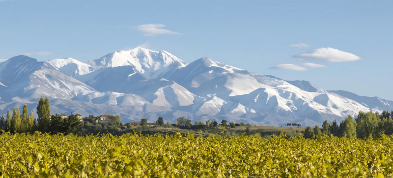 Photo for: Leaders at Four of Argentina’s Best Wineries Discuss Terroir: Part Two