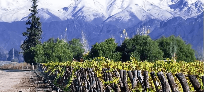 Photo for: Three Major Forces in the Importation of Chilean Wine into the US