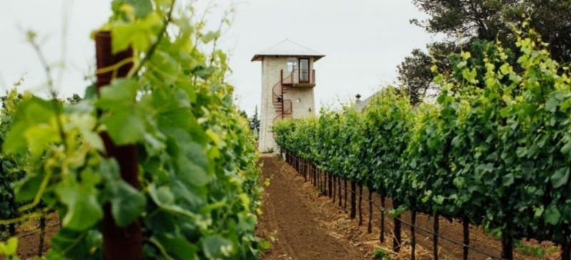 Photo for: Award-Winning Chardonnay By Poundstone Wines