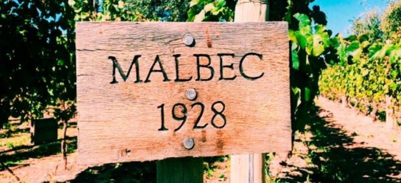 Photo for: Mendel Wines- A Malbec and Cabernet Sauvignon Vineyard since 1928