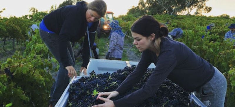 Photo for: Know Your Winemakers: Rose Kentish, Winemaker and Owner at Rose Kentish Wines