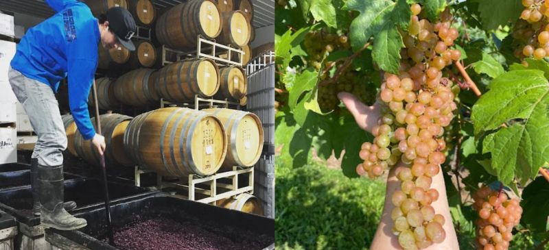 Photo for: Know Your Winemakers: Josh Kessler, Winemaker at Swedish Hill Winery, New York