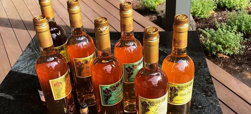 Photo for: These Top 10 Spanish Wine Importers in the USA are Elevating Spain’s Finest Wines