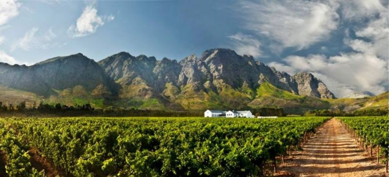 Photo for: Holden Manz