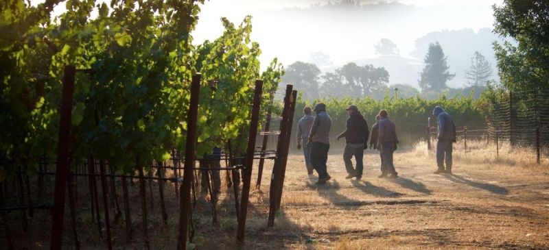 Photo for: Pennyroyal Farm- A Boonville Culinary and wine experience 