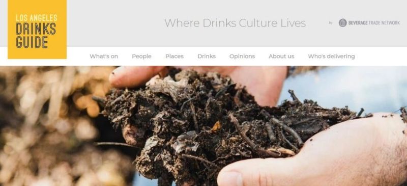 Photo for: ANIMA WINE - Wines from Slovenia