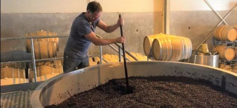 Photo for: Know your Winemakers: Paul Dawick, Chief Winemaker in Mills Reef Winery, New Zealand