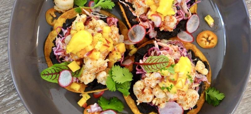 Photo for: Rockshrimp Tostadas