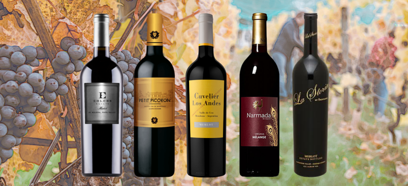 Photo for: Merlots You Shouldn't Be Missing Out On
