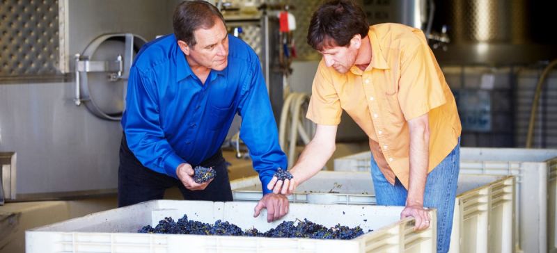 Photo for: Crafting Delicious Sonoma County Wines - Rodney Strong Wine Estates