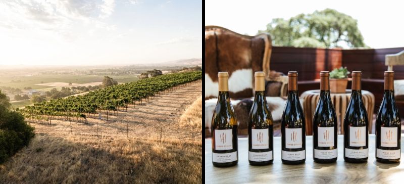 Photo for: How Three Sticks Elevates Sonoma’s Most Iconic Vineyards