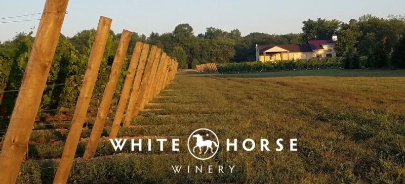 Photo for: White Horse Winery: Specializing in fine, old-world style wines.