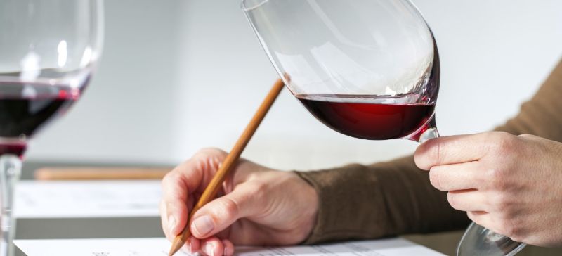 Photo for: Top Sommeliers of USA To Judge Wines for Restaurants