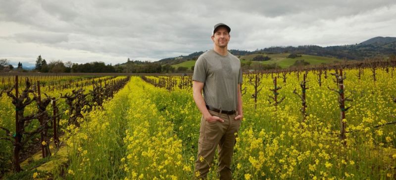 Photo for: Mark Beaman On Creating 25 Different Wines Per Year