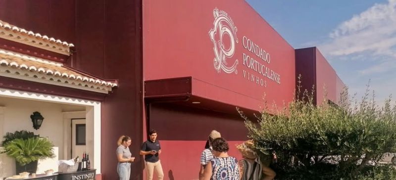 Photo for: Condado Portucalense: A Legacy of Innovation and Excellence in the Lisbon Wine Region
