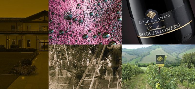 Photo for: The Love For Lambrusco Unites Italy