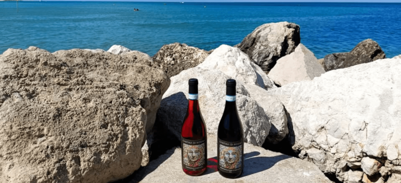 Photo for: Coming Home to Abruzzo: The Family Story Behind Cantina di Rosina