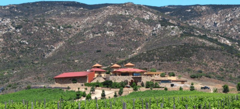 Photo for: Emerging Wine Regions to Watch in 2026 — As Selected by Top U.S. Sommeliers